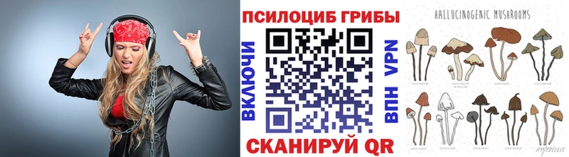 Псилоцибиновые грибы Cubensis  Палласовка 